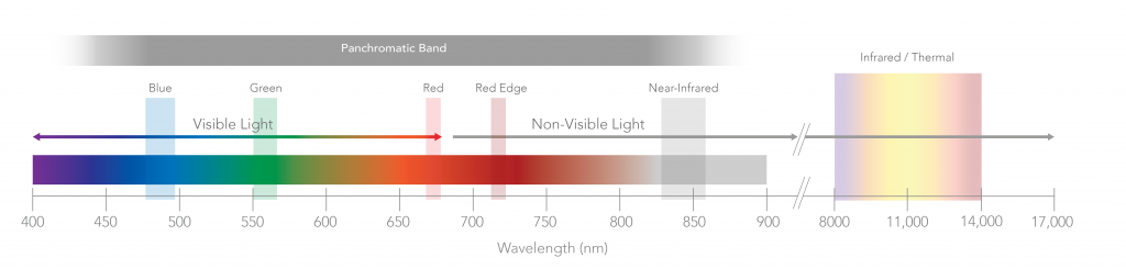 Rango del espectro electromagnético con las bandas de la cámara utilizada - Tecnología de captura precisa