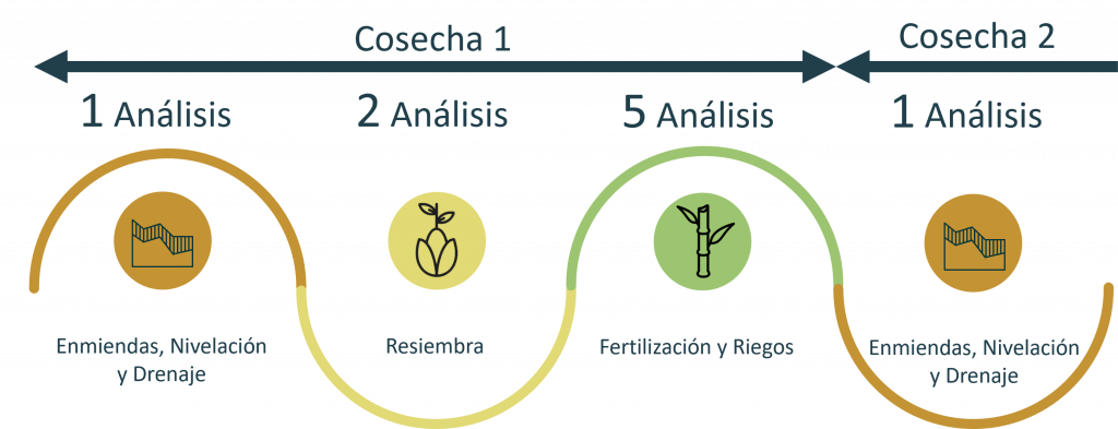 Importancia de un mínimo de 8 imágenes por cosecha - Seguimiento visual completo de cada etapa del cultivo