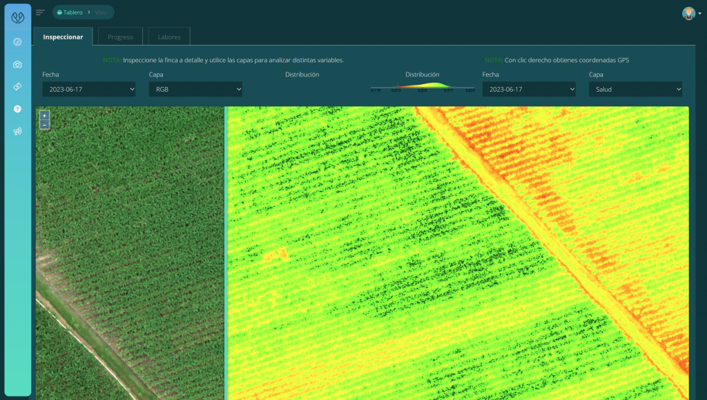 Mapa de índice superpuesto indicando sectores afectados y niveles de vigor - Evaluación visual de la salud vegetal imágenes
